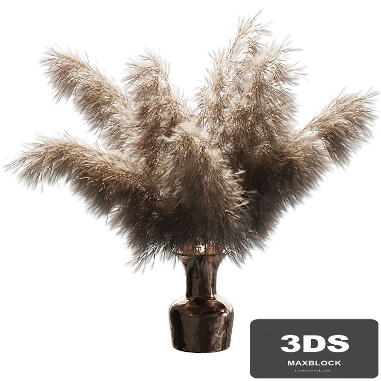 Dried plant