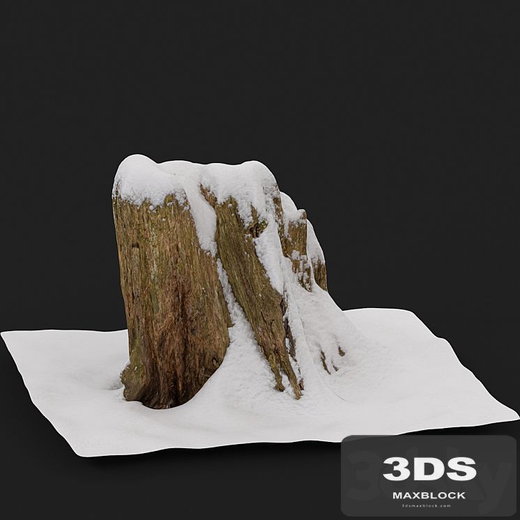 Stump under the snow