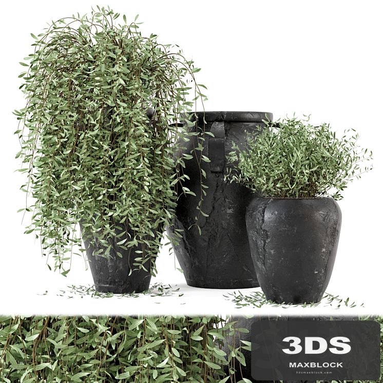 Outdoor Plants tree in rusty Concrete Pot - Set 2