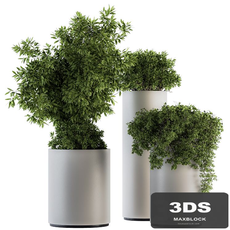 indoor Plant Set 120 - Green and White Set
