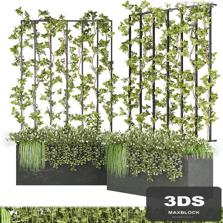 Collection plant vol 36