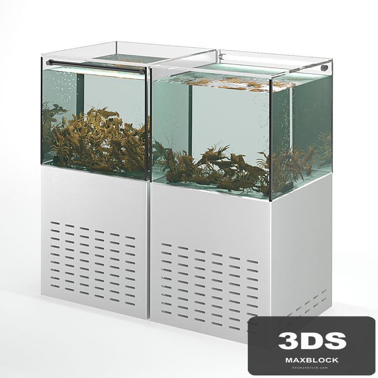 Crayfish aquarium
