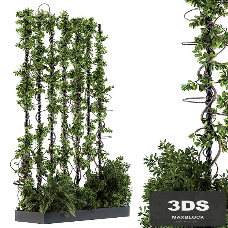 Garden set bush and ivy - Garden Set 09