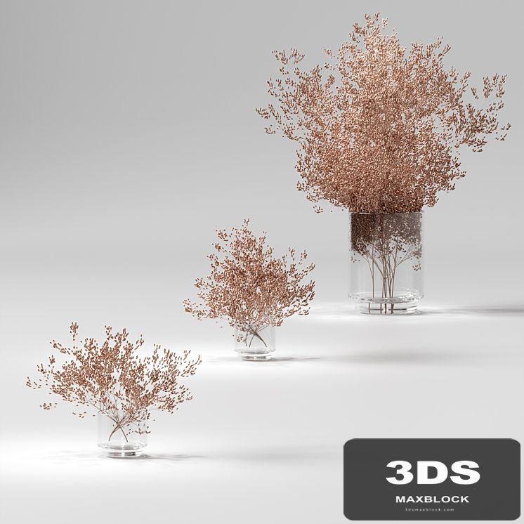 Dry plants set. 3 models