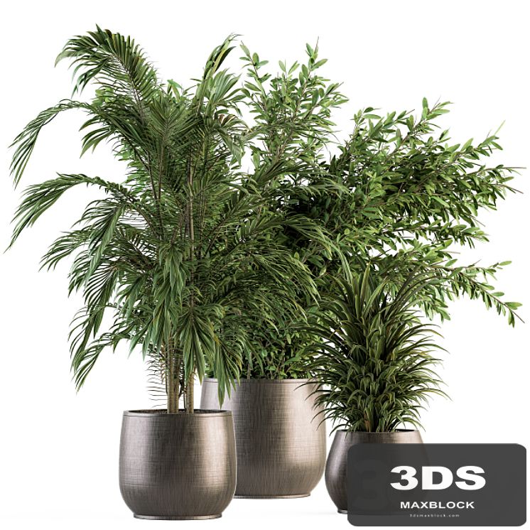 indoor Plant Set 112 - Tropical Plants
