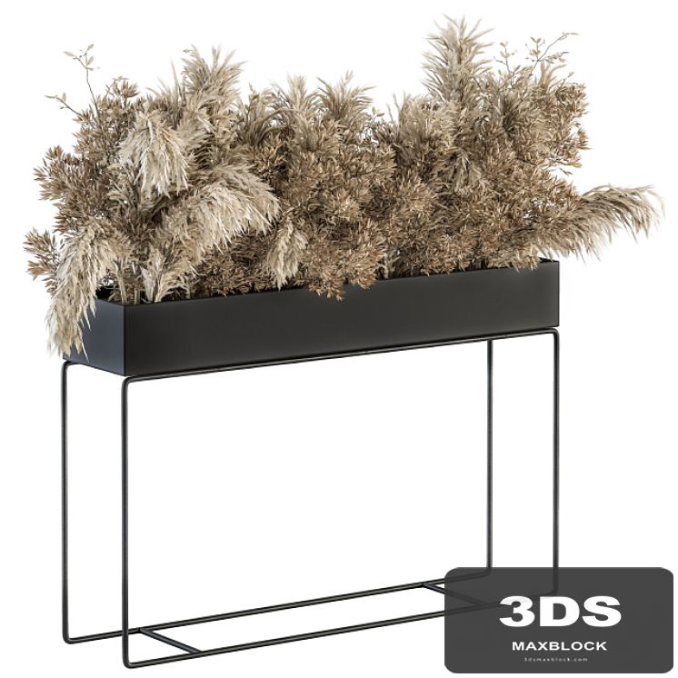 indoor Plant Set 117 - Dried Plant box