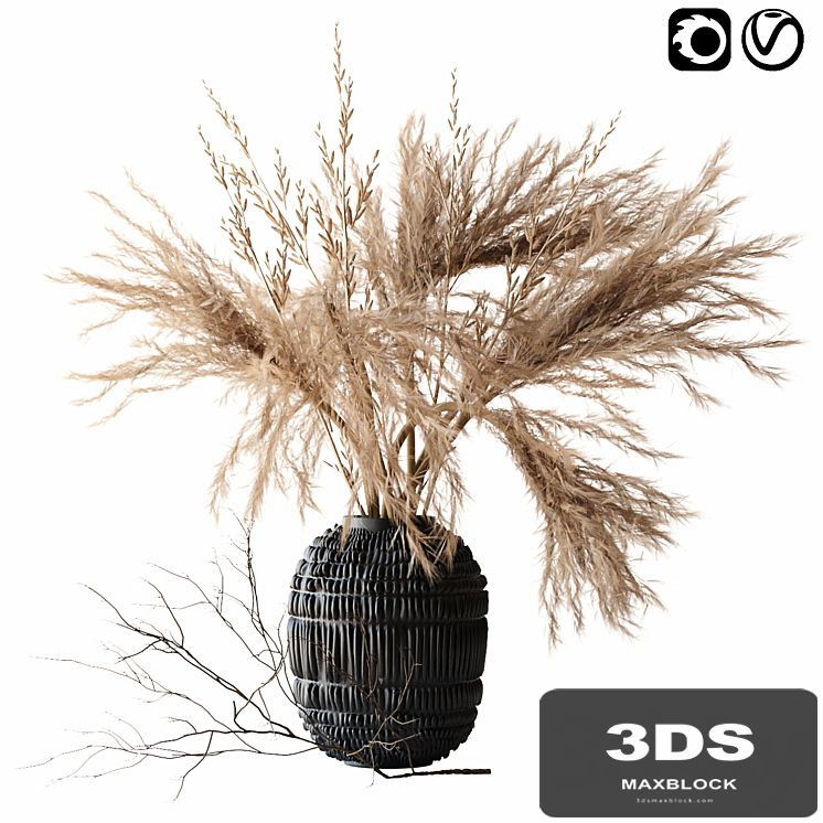 Brown pampas