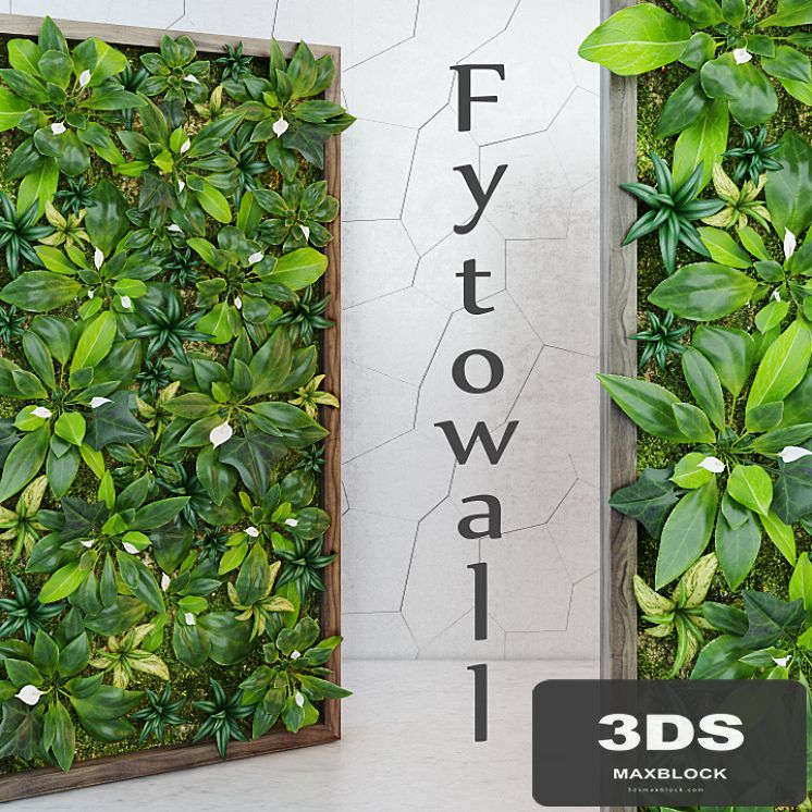 Fytowall Spatifilum