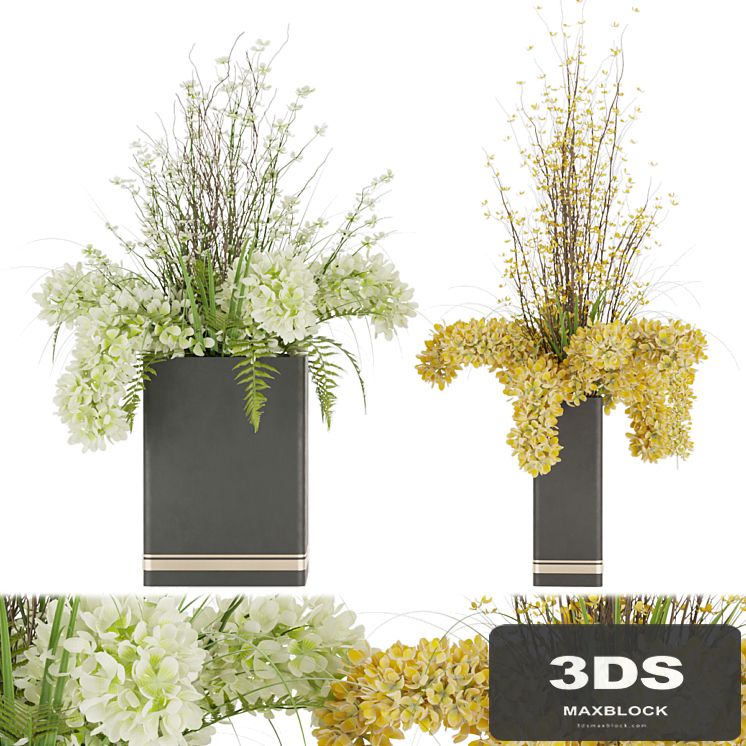 Collection plant vol 56