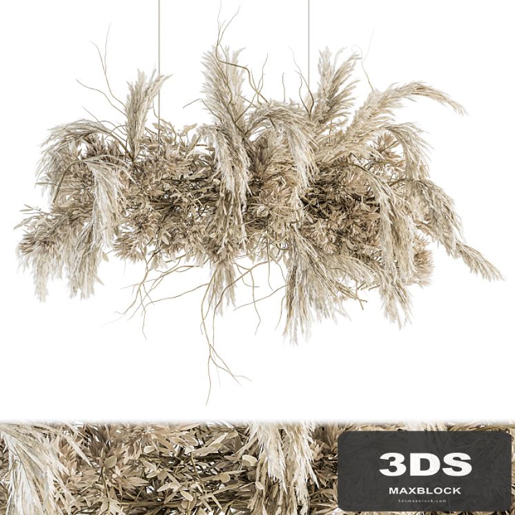 indoor Plant Set 121 - Dried Plant Hanging