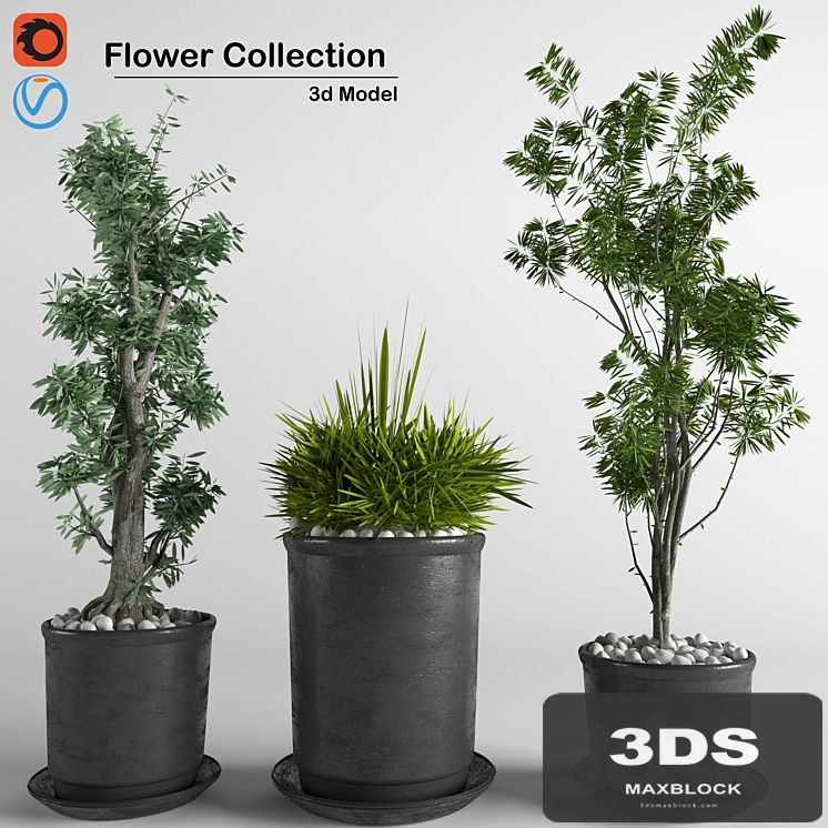 flower collection 3p