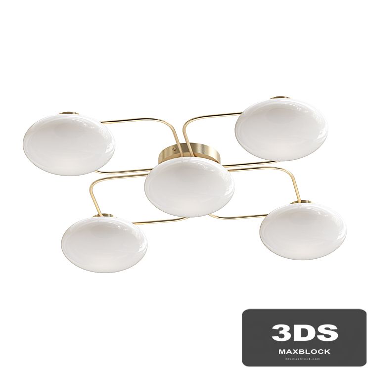 Champignon 5