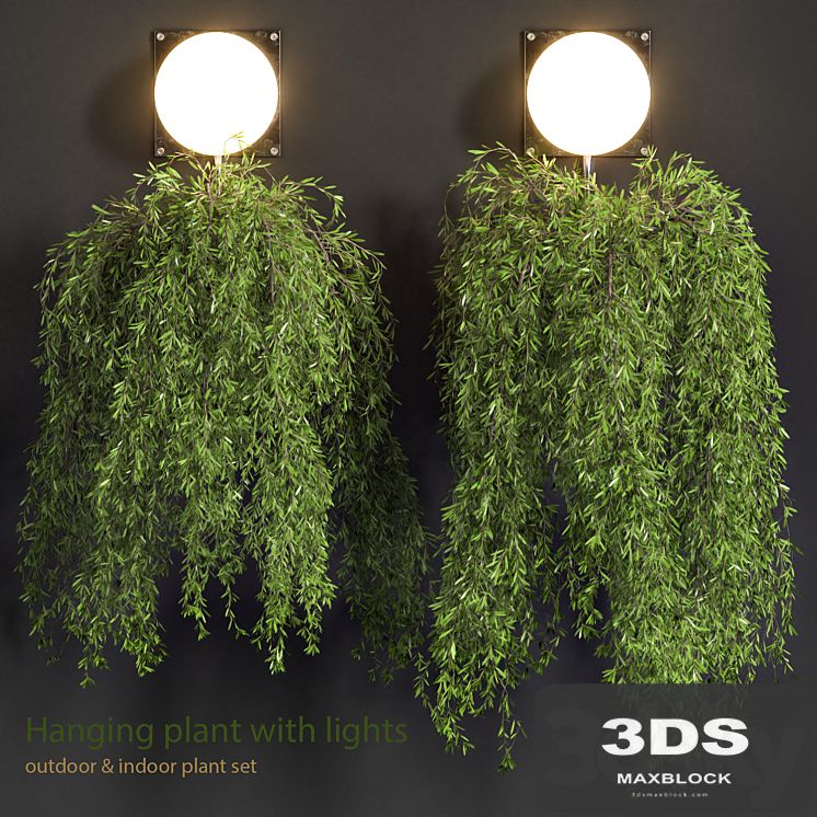 Hanging Plant with Lights