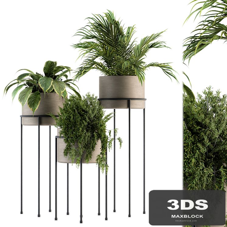 indoor Plant Set 129 - Plant Stand