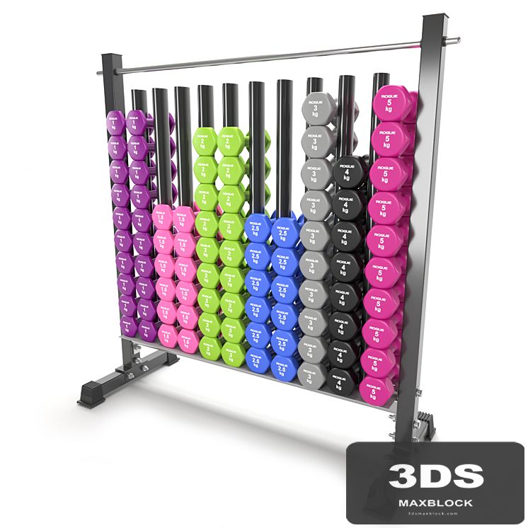 Gym Tools Fitness Body Building set 06