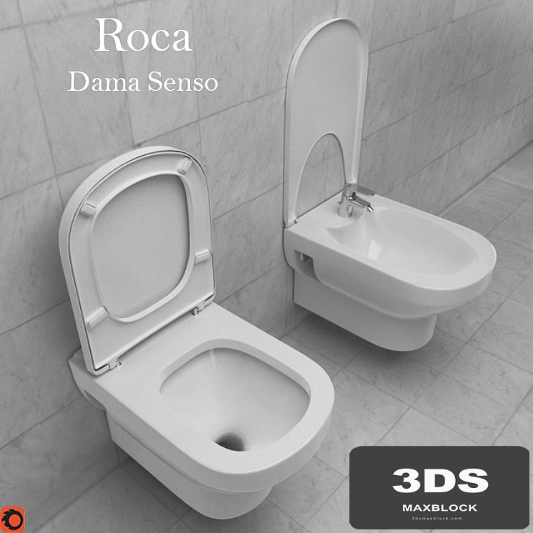 The toilet and bidet Roca Dama Senso