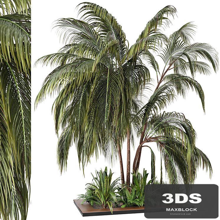 Outdoor Garden set bush and Tree - Garden Set 24