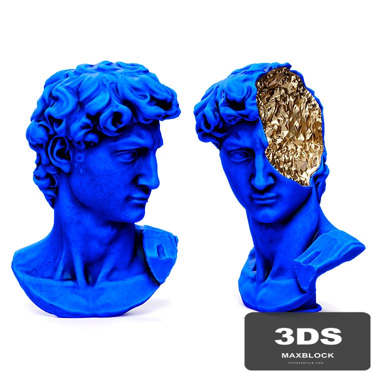 Bust of david michelangelo halfhead