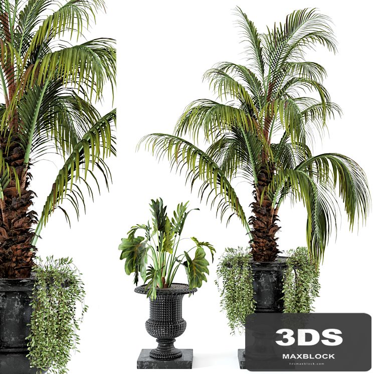 Outdoor Plants bush and Tree in rusty Concrete Pot - Set 26