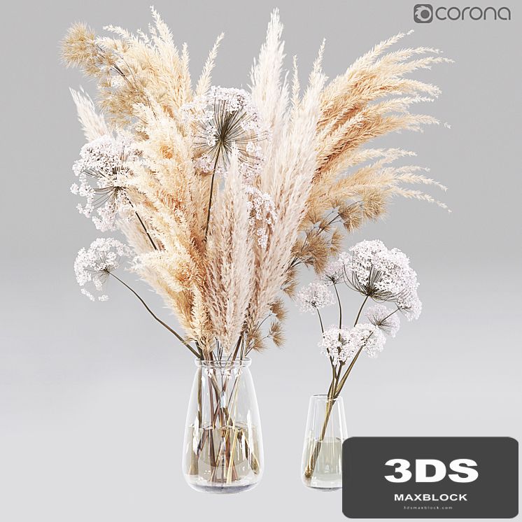 Dry Flower 01