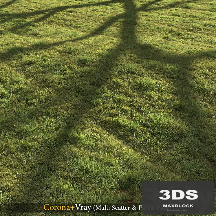 Grass landscape