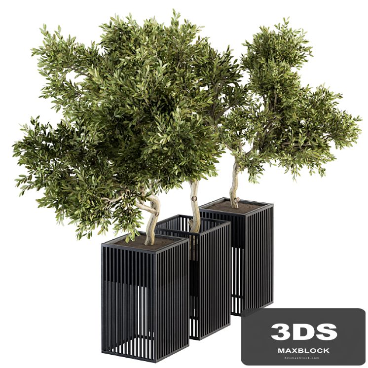 Outdoor Plants tree in Metal Pot - Set 134
