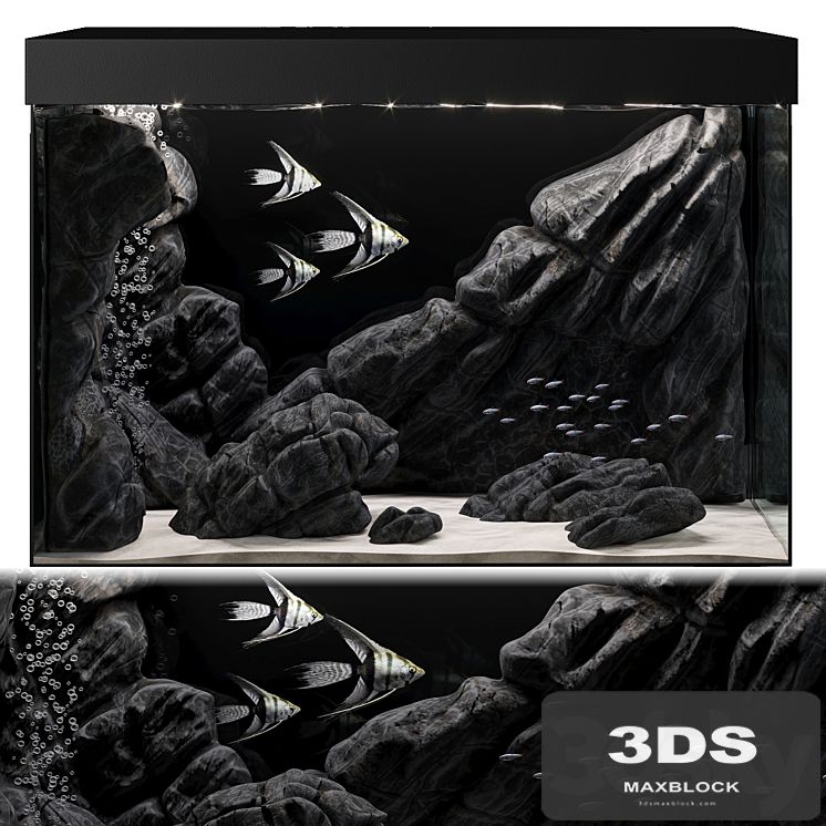 Aquarium