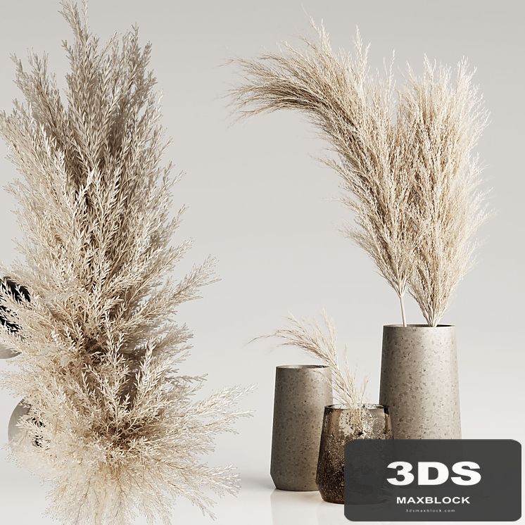 Dried Pampas Plant in Vases