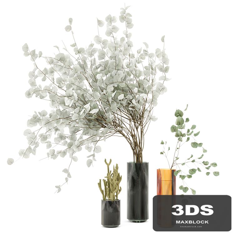 Indoor Plants Cactus & Eucalyptus whit Glass Pots - Set 38