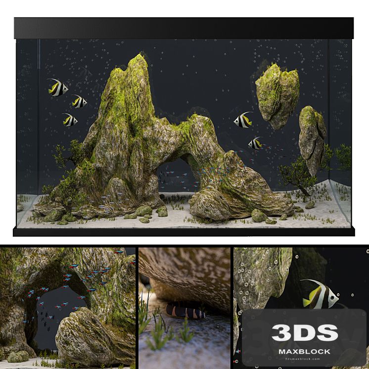 Aquarium with rocks and moss