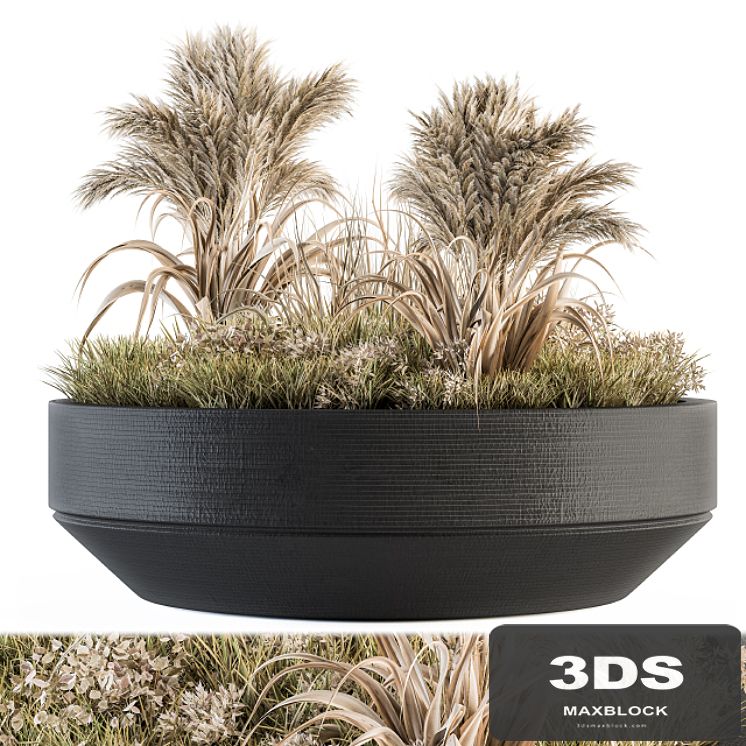 Outdoor Plants tree in Concrete Pot - Set 147