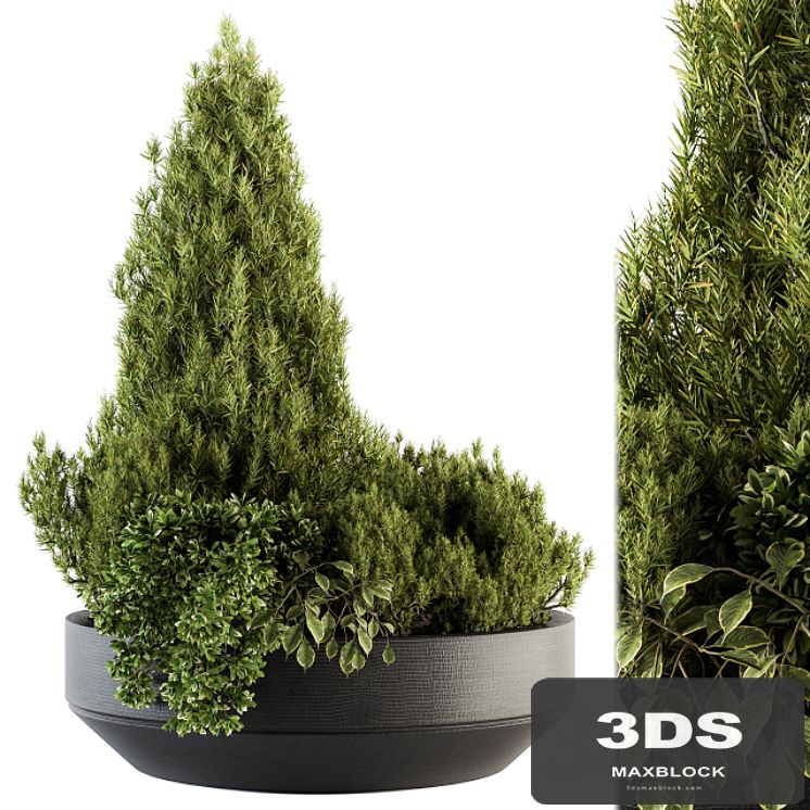 Outdoor Plants Garden - Set 142
