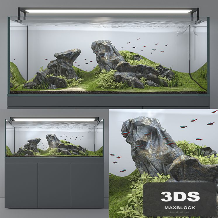 Aquascape aquarium