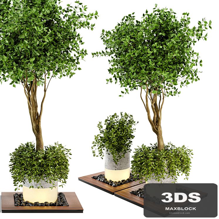 Outdoor Plants bush & Tree Combination of wood & concrete Pot - Garden Set 45