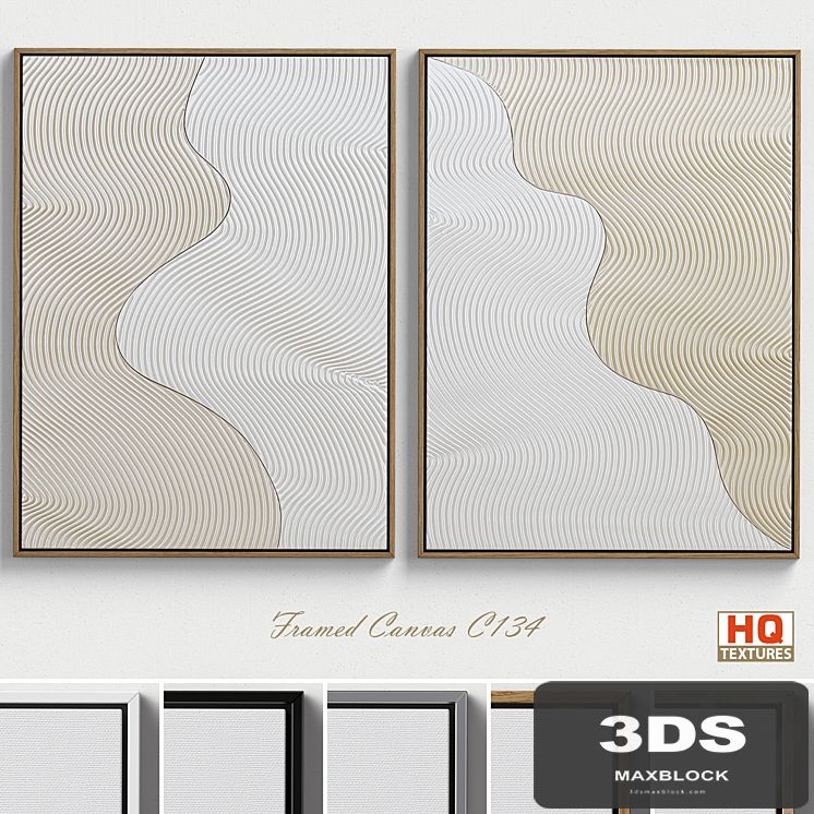 Framed Canvas C-134