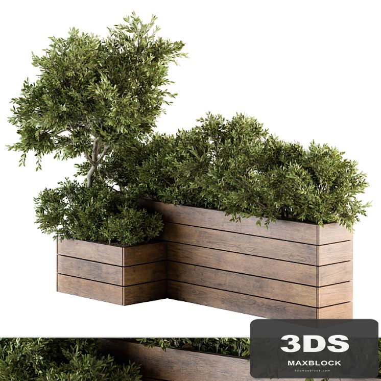 Outdoor Plants tree in Wood Box - Set 154