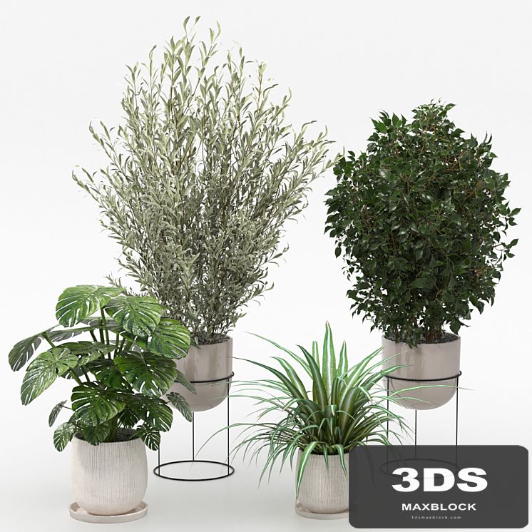 Houseplants collection (V-Ray)