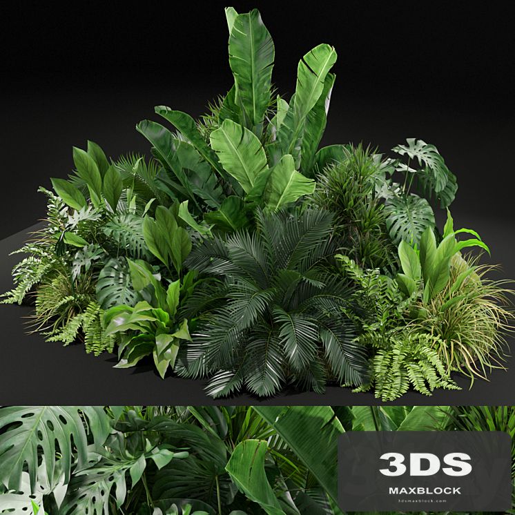Plants collection 445
