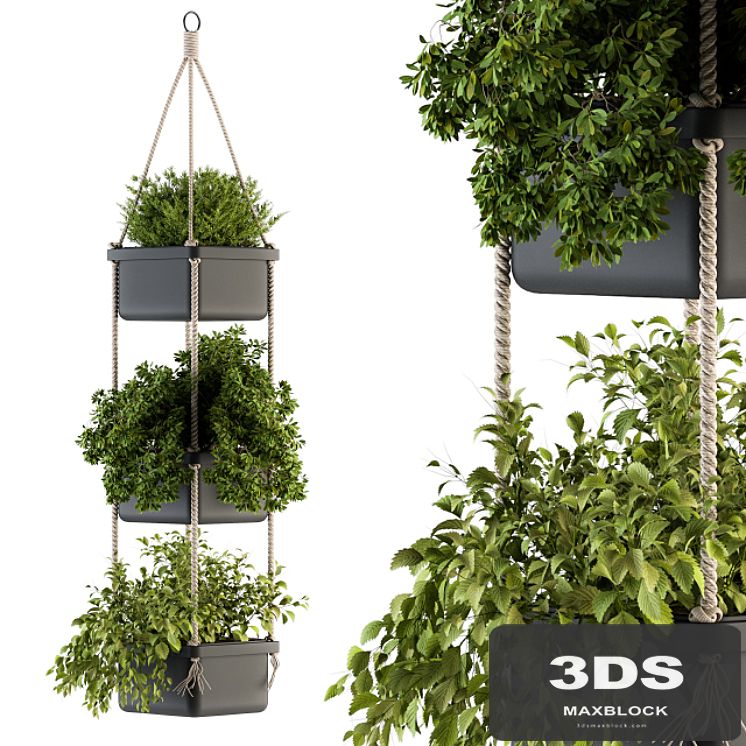Hanging pot with Rope - indoor Plants 164