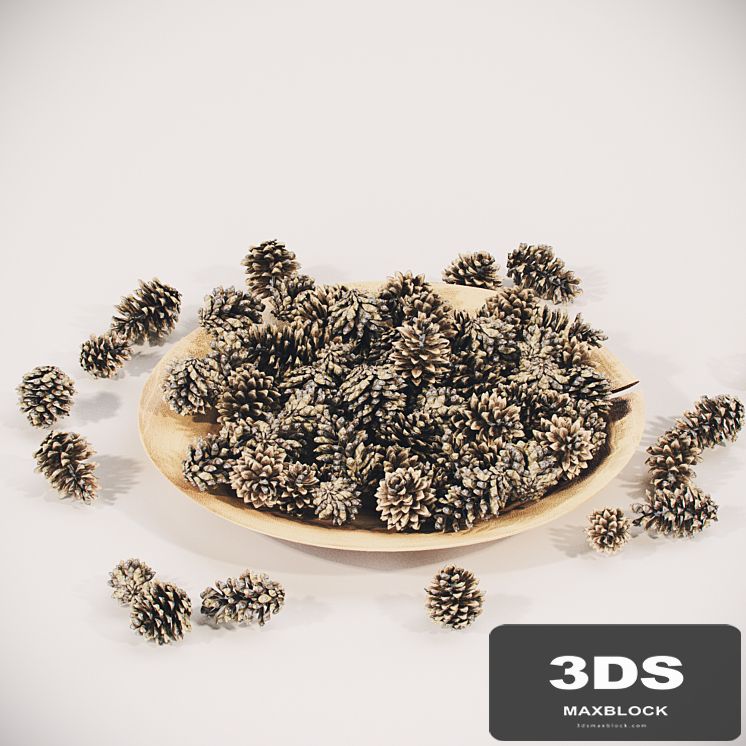 Plate with pine cones