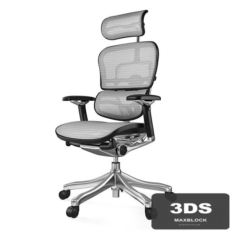 Armchair Office Ergohuman Plus Luxury (6 fabric colors)