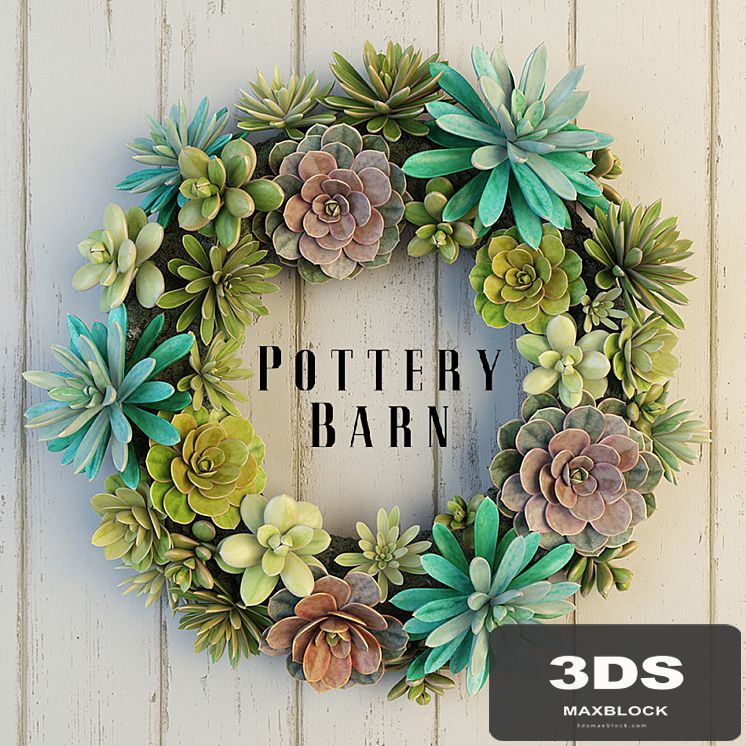 Pottery Barn Succulent Wreath