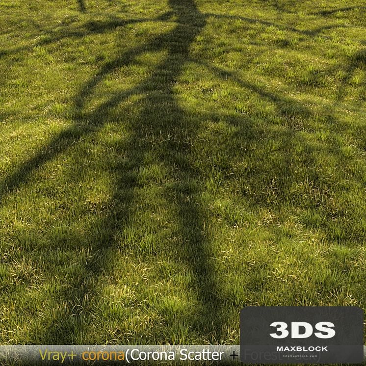 Grass Landscape