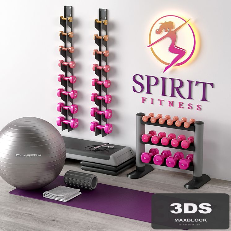 Excellent set for a fitness room. Sport equipment. Set