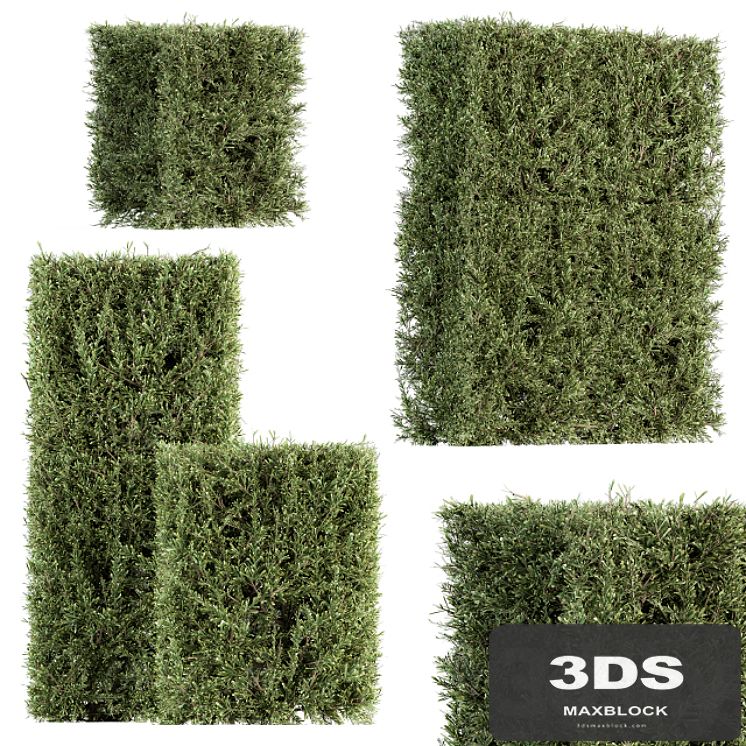 Bush wall Needle - Bush Set 19