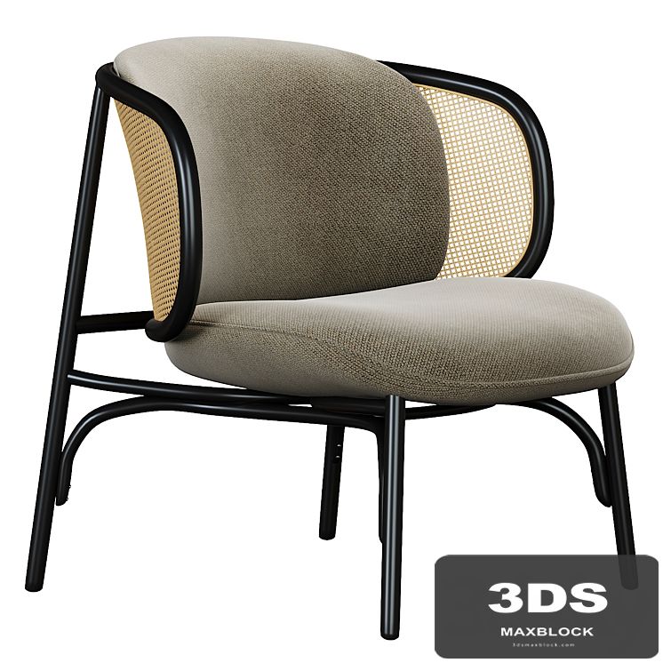 Suzenne Gebrüder Thonet Vienna Armchair