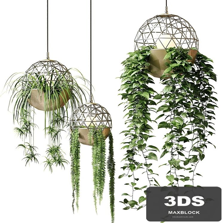 Atelier Schroeter luminaires with hanging plants