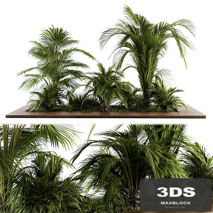 Outdoor Plants tree Tropical Garden - Set 143