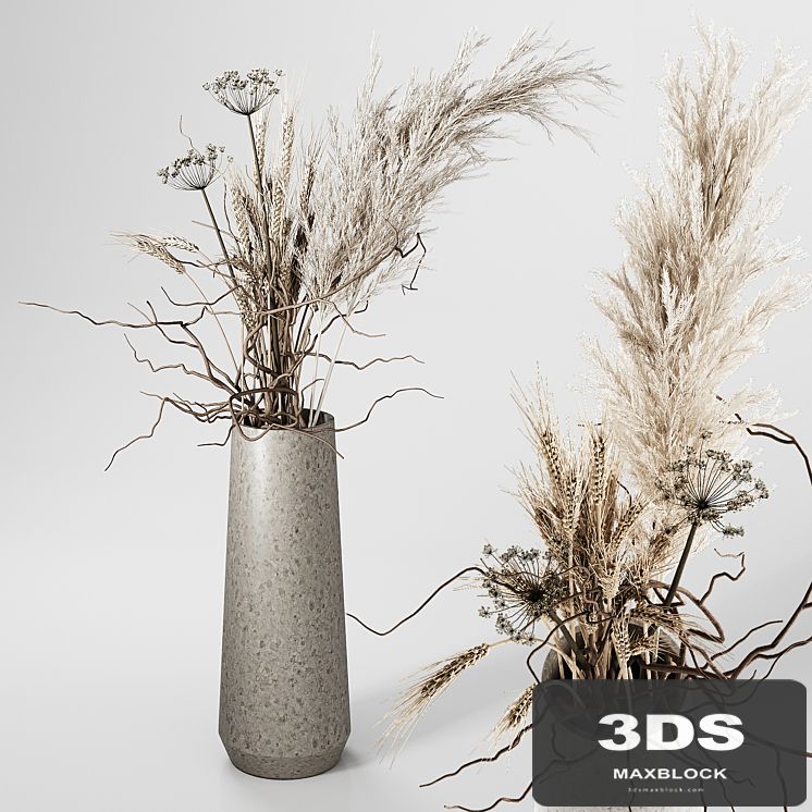 Dried Plants Bouquet in Vase
