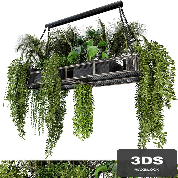 Indoor Hanging Plants in Metal Box - Set 71
